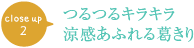 つるつるキラキラ涼感あふれる葛きり