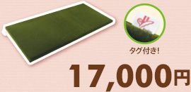 17,000円