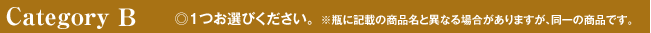 カテゴリーB　◎1つお選びください